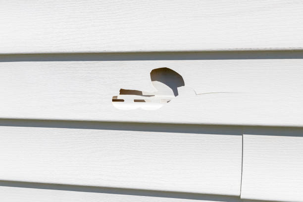  Thomasville, AL Siding Installation Pros