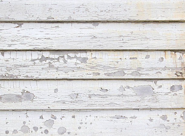 Best Custom Trim and Detailing for Siding  in Thomasville, AL