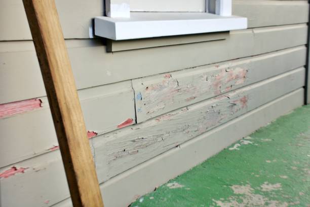 Best Engineered Wood Siding  in Thomasville, AL